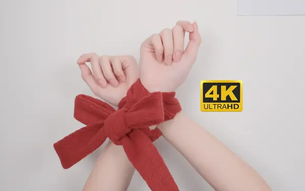 到底是哪些手控在看这些 - 芝士好椰